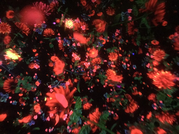 映像.jpeg