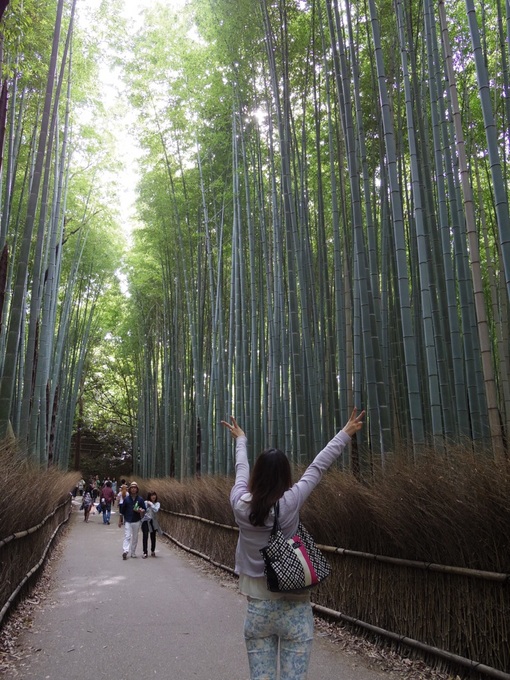 京都嵐山 竹やぶ.jpg