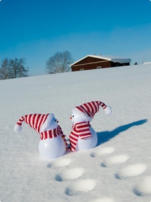 雪だるま.jpg