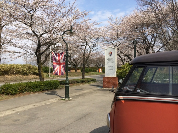 桜ﾜｰｹﾞﾝ.jpg