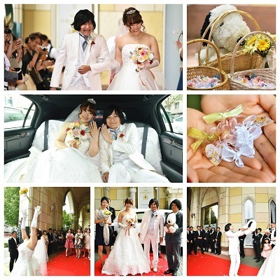 Collage_Fotor3m.jpg
