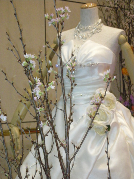 桜とドレス 001.jpg