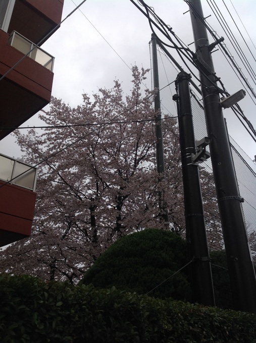image11.jpg