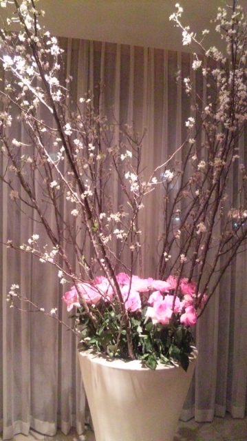 120306_205553.jpg