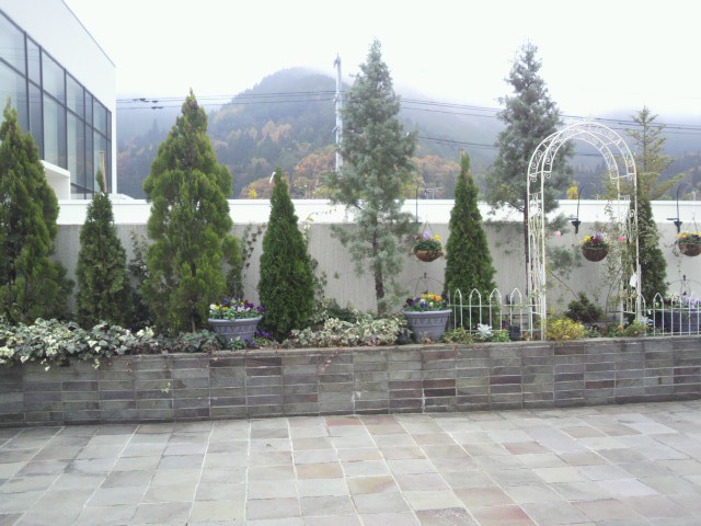 2013111710560002.jpg