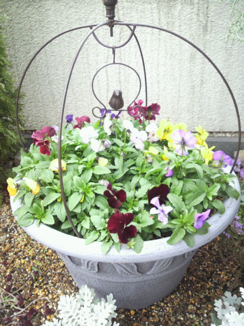 2013111711410001.jpg