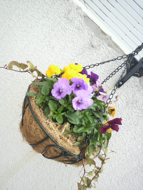 2013111711410002.jpg