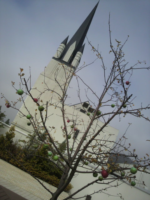 2013111712020002.jpg