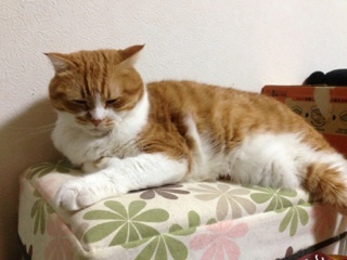 2013 0930 002.jpg