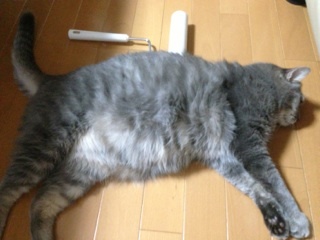 2013 0930 003.jpg