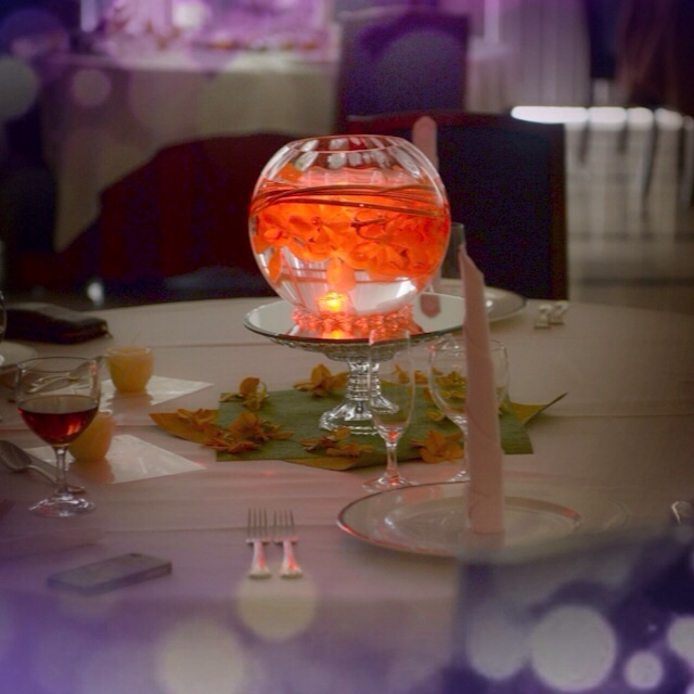 20140126005.jpg