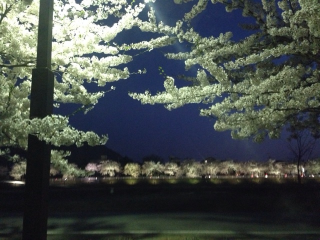 20140425001.jpg