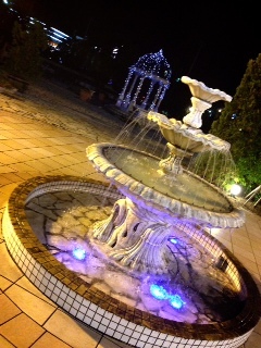 噴水ナイト.JPG