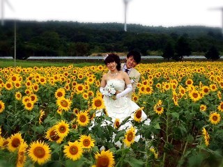 布引ひまわり2.JPG