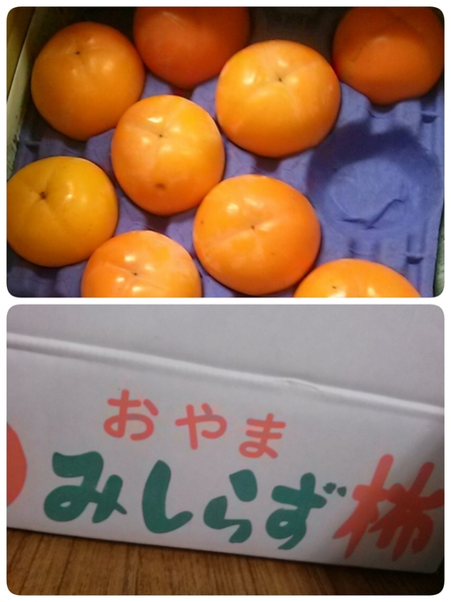 柿.jpg