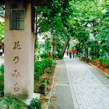 花の道.JPG
