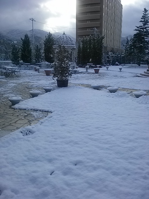雪.jpg
