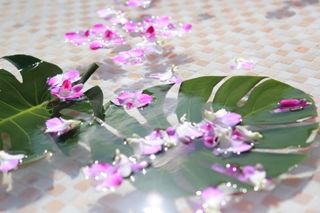 0023 池.jpg
