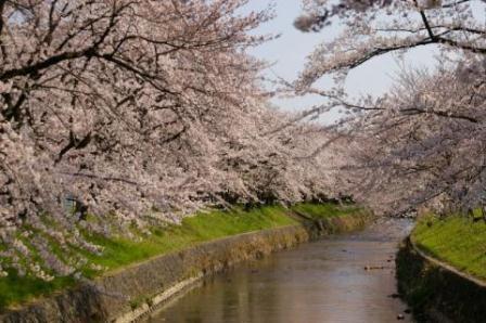 五条川.jpg