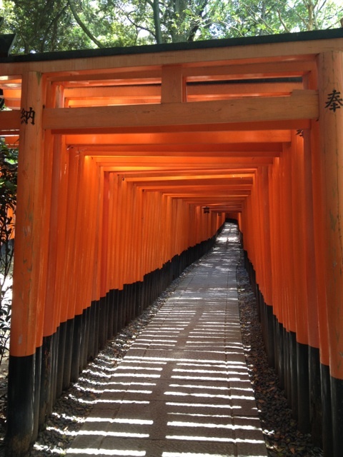 千本鳥居.jpg