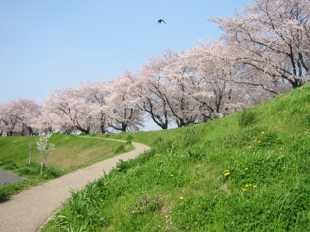 庄内川.jpg