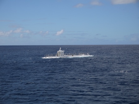 P1000454.jpg
