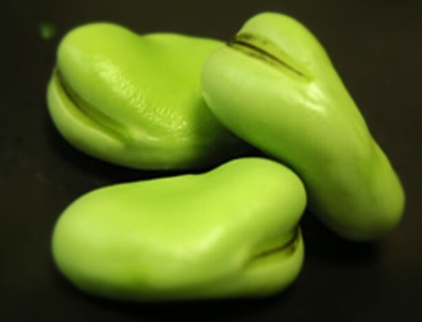 img03226766~2.jpg